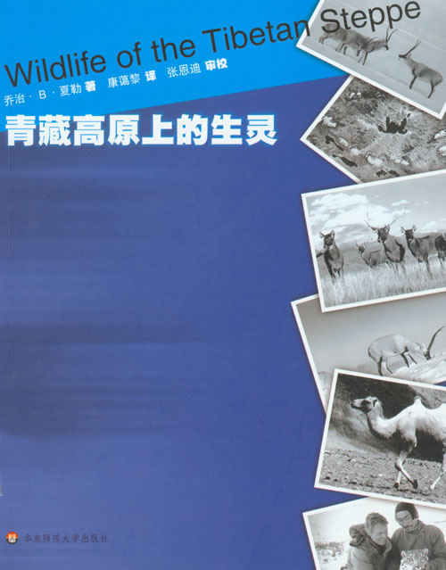 青藏高原上的生灵_qzsl.jpg